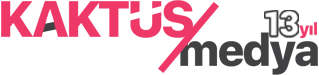 WS005 | WebStüdyo | Hazır Web Tema